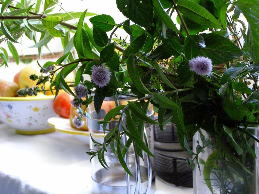 Cozy Holiday Home In Porto Do Son Near Beach Portosin Bagian luar foto